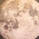 설설이김밥 이미지