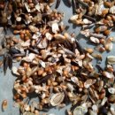 수지 토종농장 이미지