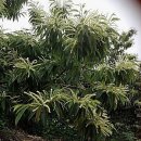 알밤농장 이미지