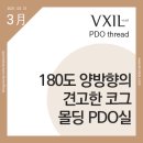비코그 이미지
