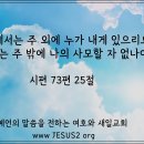 새일교회 ㅣ 아라랏 산에 걸린 방주와 감람나무 새순 이미지