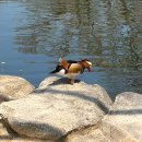 (유)누리여행 | 전북 남원 가볼만한곳 광한루원 입장료 남원누리시민증 발급