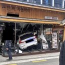 제주의 사색 이미지