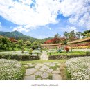 산청 동의보감촌 이미지