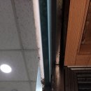 동백중앙로 이미지