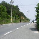 냉천 지초 이미지