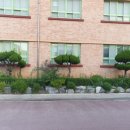 인천십정초등학교 이미지