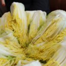 학동농장 이미지