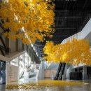 (주)아트앤디자인인터내셔널 월간미술