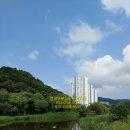 THE우리공인중개사사무소 이미지