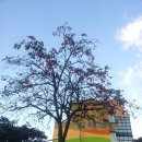 지리산 팔베개 이미지