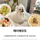 정육점 서래마을점 | [서울 서초] 방배동 서래마을 애견동반 브런치 카페, 헤이베르트