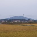 국토개발 행정사 사무소 이미지