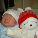 개구장이 이미지