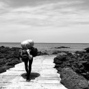 펜션정원 이미지