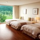 동광주스크린골프연습장 이미지