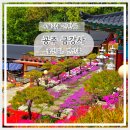 마티고개 화장실 이미지