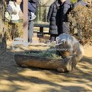 새부산타운 이미지