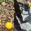 제주의 이유 이미지