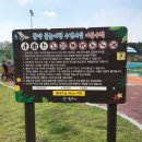 문막생활체육시설 축구장 이미지