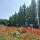 태신목장 Daum카페