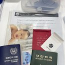 성모병원 | 여의도 성모병원 비자신체검사 후기 &amp; 예방접종 사전준비