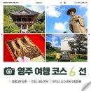 영주수도리김규진가옥 | [아름답고 볼거리 가득한 농촌, ‘영주’ 관광 코스를 소개합니다] [농업과 뗄 수 없는 우리의 먹거리...