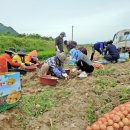 안양면 행정복지센터 이미지