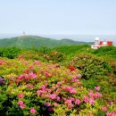 바람개비