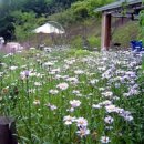 원더풀 펜션 이미지