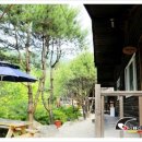 화천흑염소농장 이미지