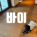 스시아카리(sushi akari) 이미지