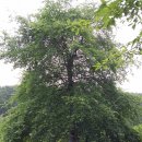 천마여행 이미지