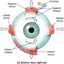 바른헬스 이미지