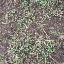 크로바농장 이미지