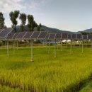 상원태양광발전소 이미지