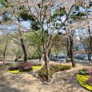 마북근린공원 (주)경기 타임스