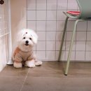 탑마을주공8단지.중앙도서관 이미지