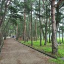 월송정매점 이미지