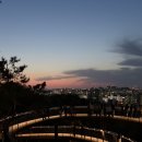 카페타조