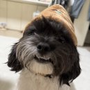 (주)라온부동산중개법인 이미지