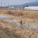 자연미곡정미소 이미지