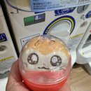 쿠루와땜임 | 후쿠이에 갈까요 ?…