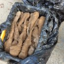 동윤농장 이미지