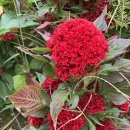 소희농장 이미지