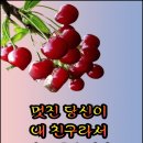 ♡뒷모습이 아름다운 사람♡ 이미지