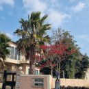 동내마을 이미지