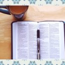 칼빈대학교 대학원 이미지