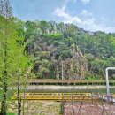 원주굽이길 7코스 태조왕건길 이미지