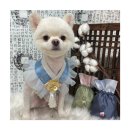 멍앤리치 이미지